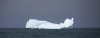 Iceberg (39)