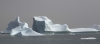 Iceberg (49)