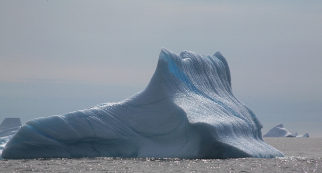 Iceberg (29)