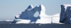 Iceberg (51)