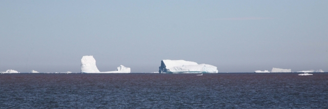 Iceberg (53)