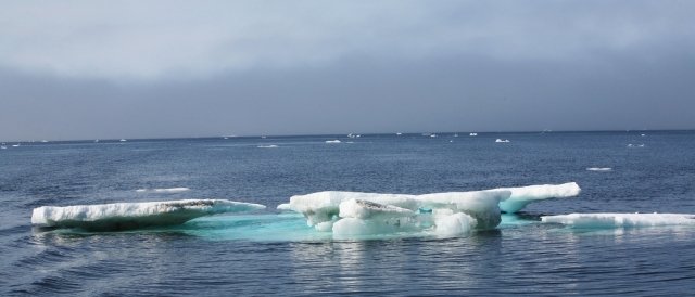 Iceberg (1)