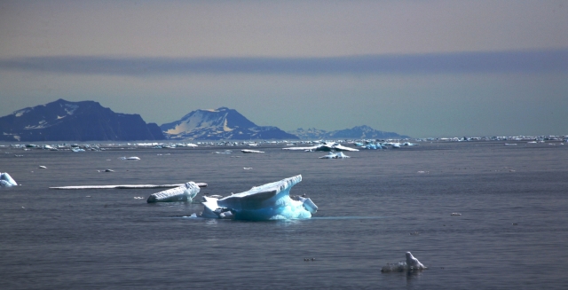 Iceberg (2)