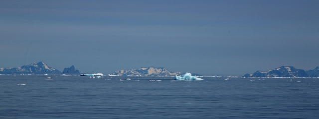 Iceberg (4)